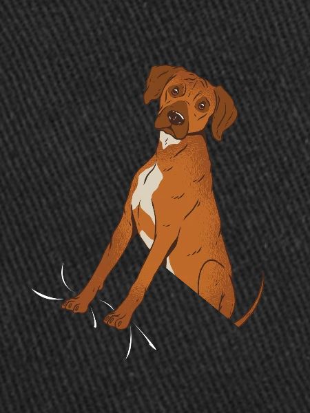 Rhodesian Ridgeback Shirt