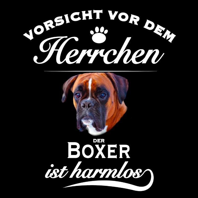 Boxer - Vorsicht vor dem Herrchen - Hund harmlos