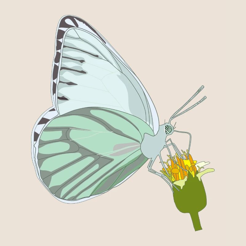 Papillon avec fleur