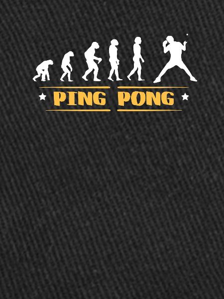 EVOLUTION PING PONG