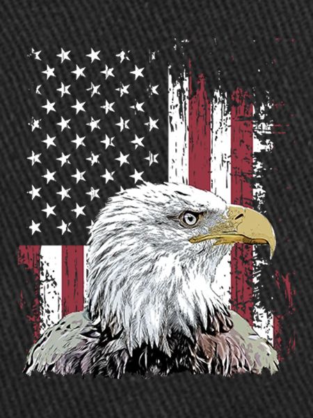 Independence Eagle American Flag Eagle