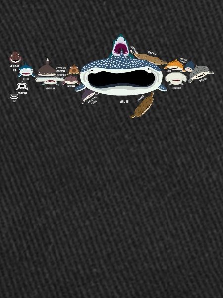 Requins, requins, requins