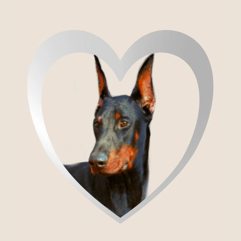 Doberman - Doberman Dog