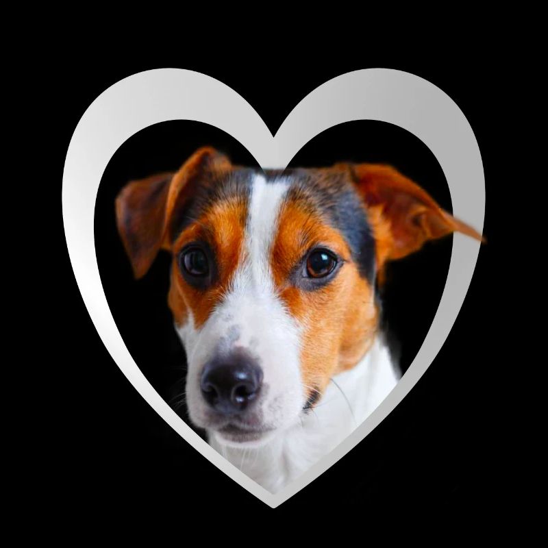 I Love my Parson Russel Terrier - Terrier