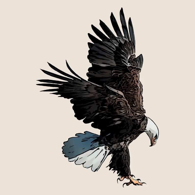 Eagle motif eagle imprint bald eagle eagle