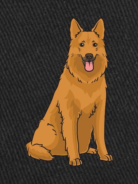 Harzer Fuchs Dog