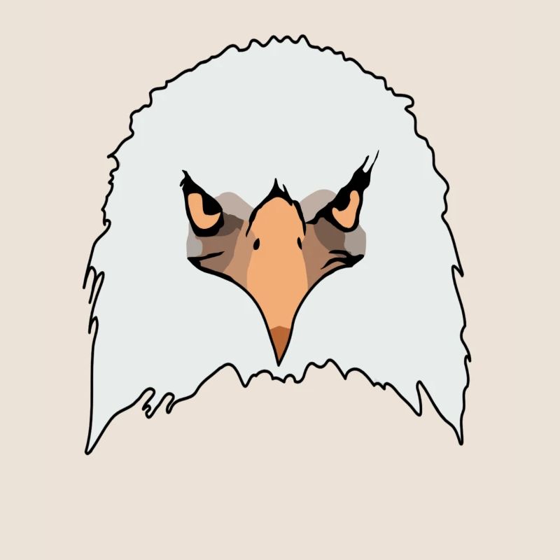 Eagle eagle motif eagle imprint bald eagle