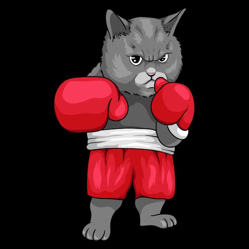 Boxing Cat Boxe chat