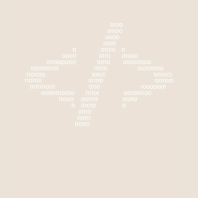 Hacker Code Informatique Java Rengaine Cadeau