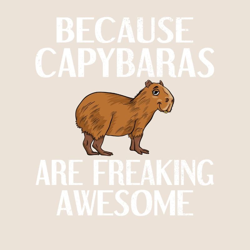 Capybara gift capybara rodent Carpincho
