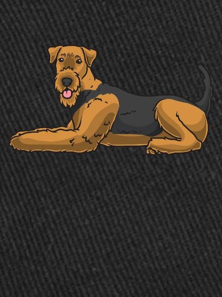 Airedale Terrier Chien