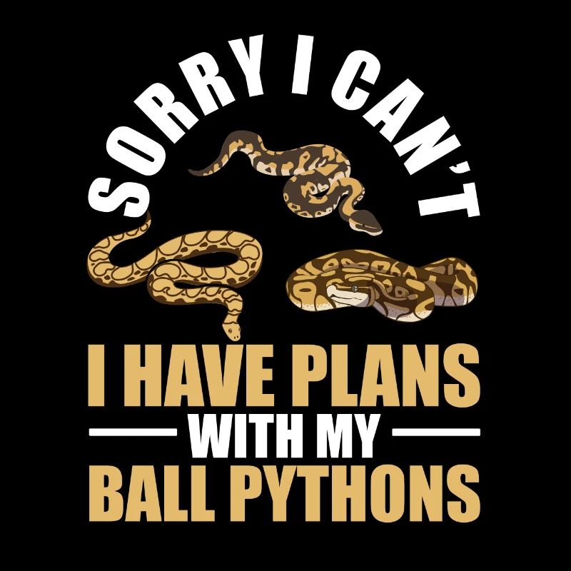 Plans Avec Mes Python Rois De Serpent