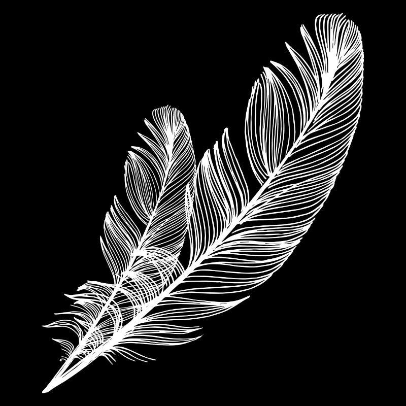 small and large feather