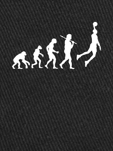Evolution Basketball