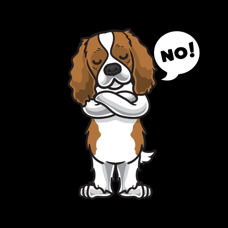 Stuer Cavalier King Charles Spaniel