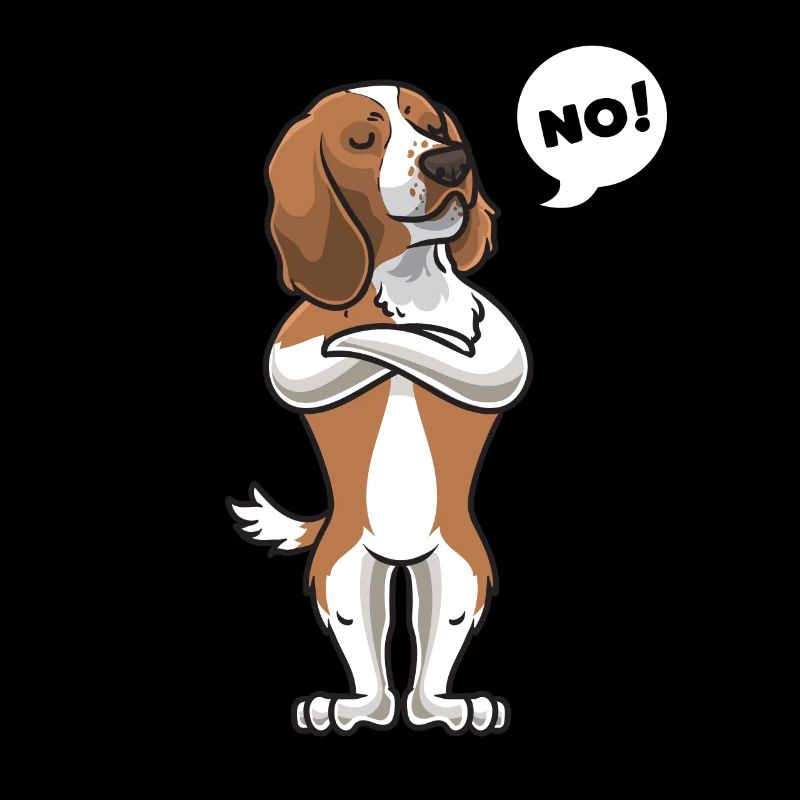 Sturer Welsh Springer Spaniel Chien