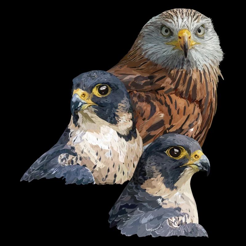 Greifvogel
