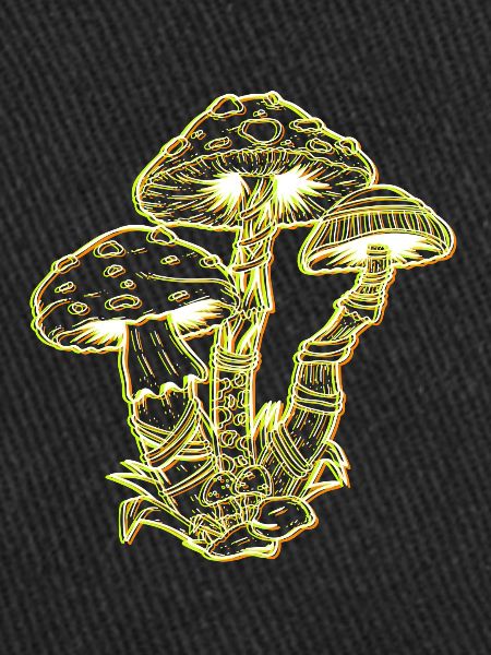 LSD Party Drogues Champignons Acid