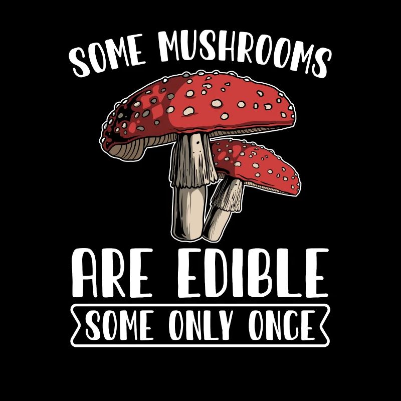 Champignons Cueilleurs de champignons