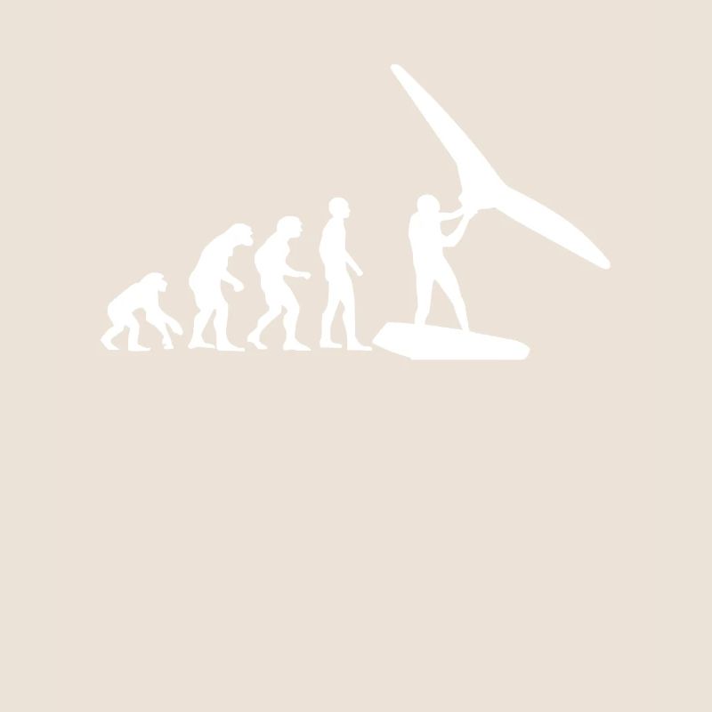 Wing Surf Evolution Wing Foil Geschenk Wingfoiler