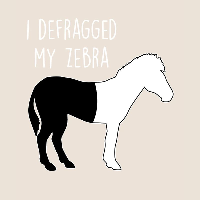 I defragged my Zebra Coder Informatiker Hacker