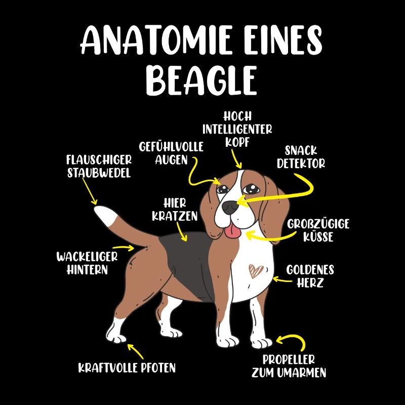 Beagle Anatomie eines Hundes Hundeliebhaber