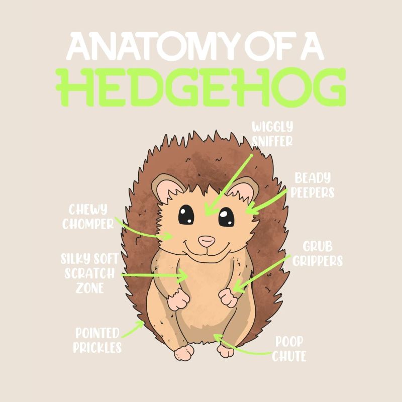 Anatomie d’un hérisson