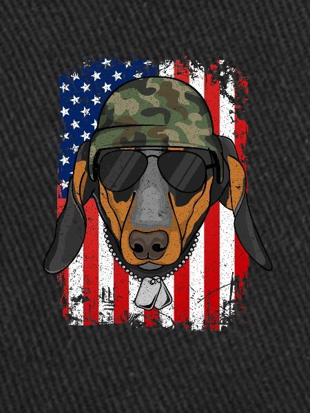 Dachshund