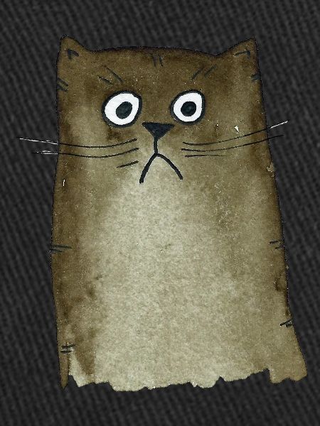 Chat brun