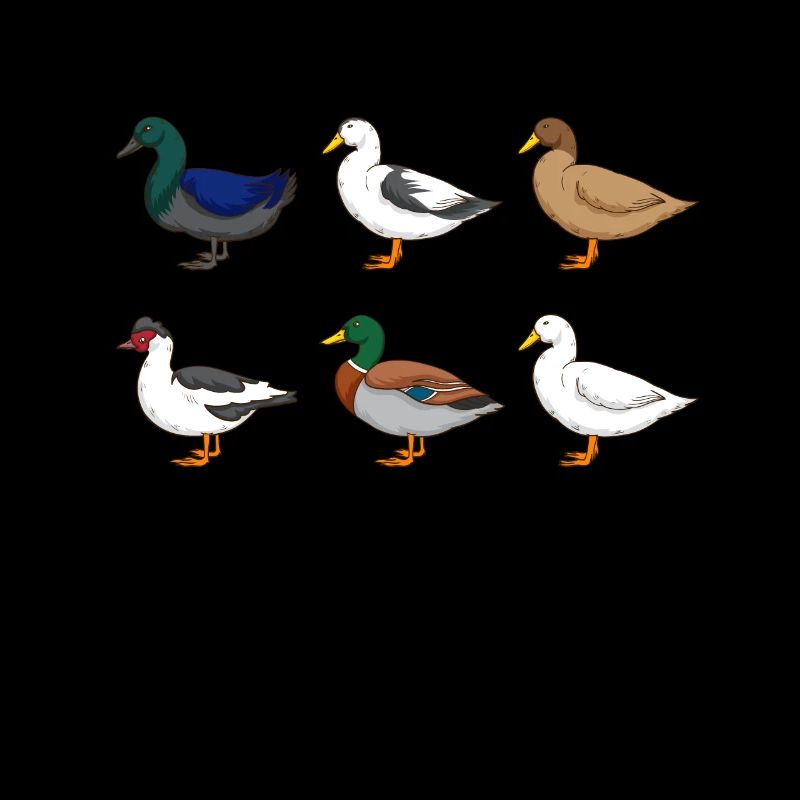Duck Gift Duck Lover Farm Duck
