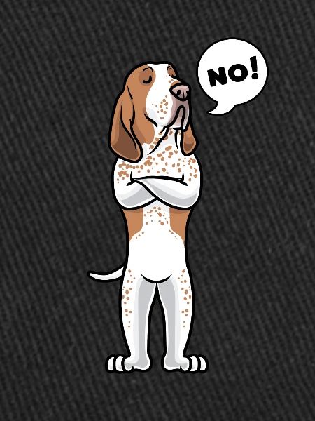 Bracco Italiano Chien