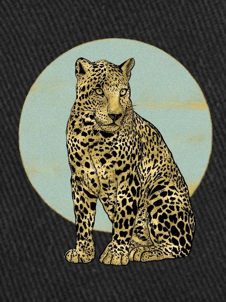 Leopard