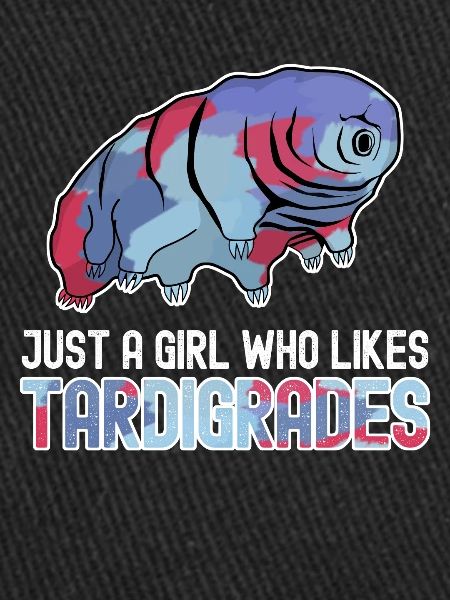Tardigrade Tardigrades Ourson