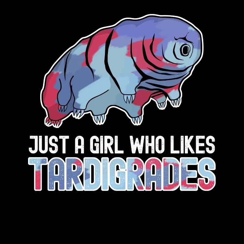 Tardigrade Tardigrades Wasserbär