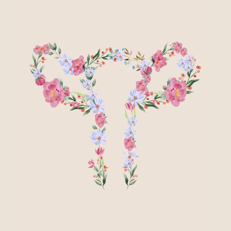 Entfernung der Gebärmutter Hysterektomie Operation