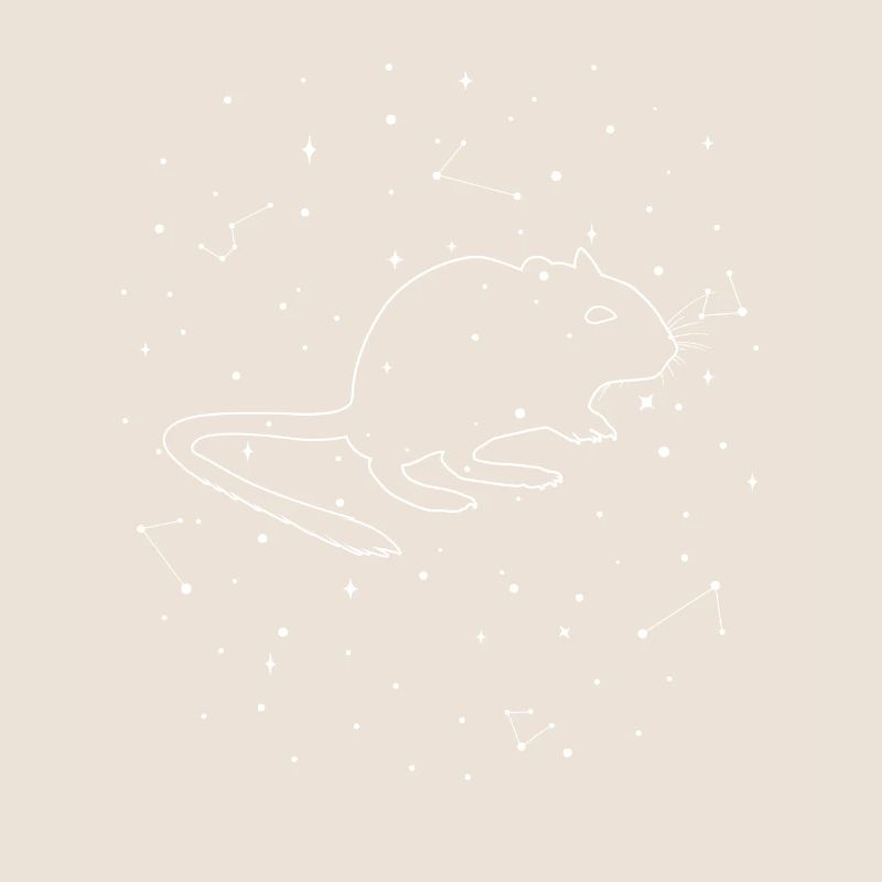 Constellation Degu Constellation Bush Rat Common