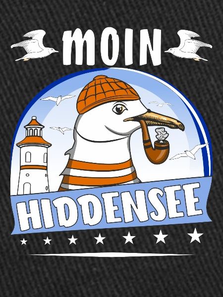 MÖWE MOIN HIDDENSEE