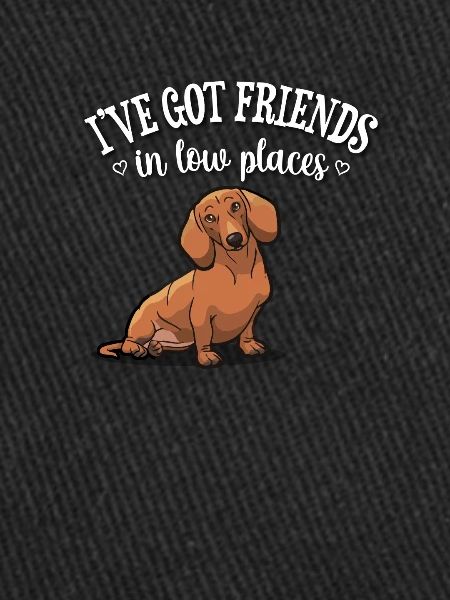 Dachshund