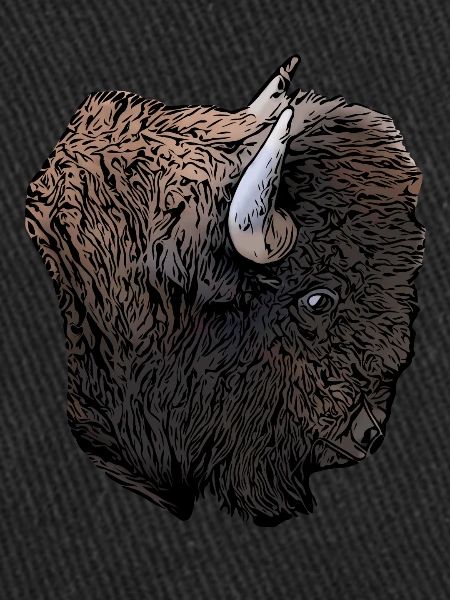 Buffalo