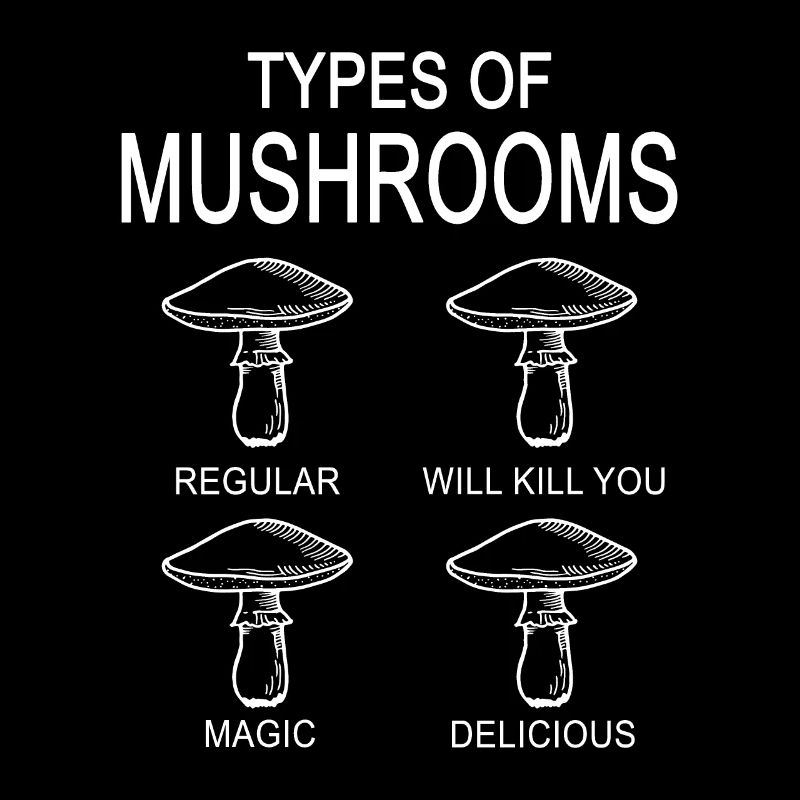 Types de champignons Champignons Champignons Cueillette de champignons