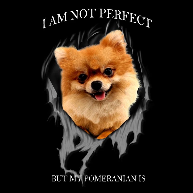 Mon Poméranien est parfait