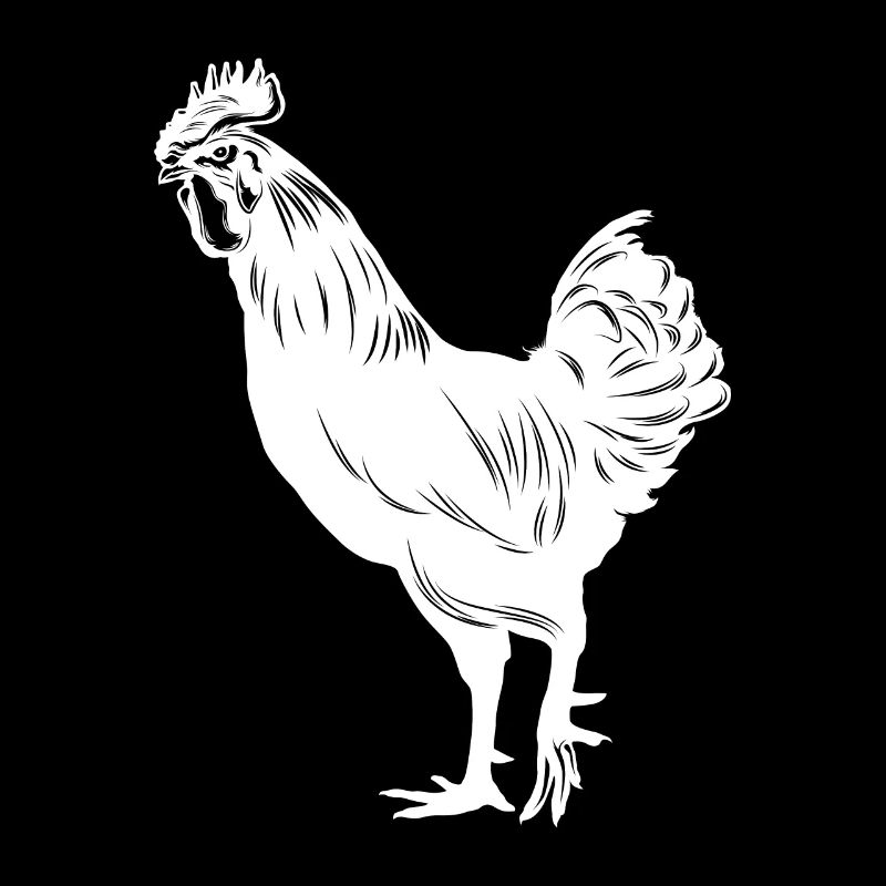 Poulet Huhn