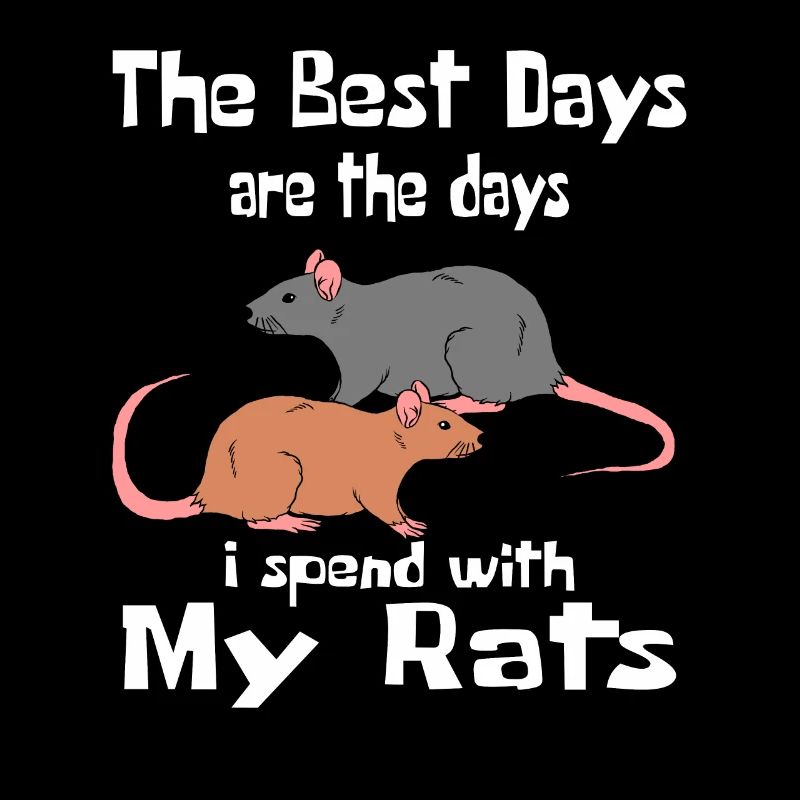 Jours de rats avec des rats