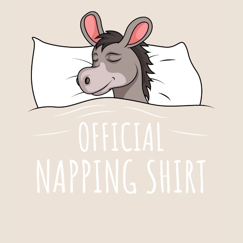 Cadeau chemise de couchage d’âne