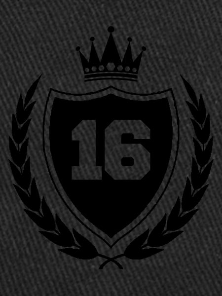 armoiries 16