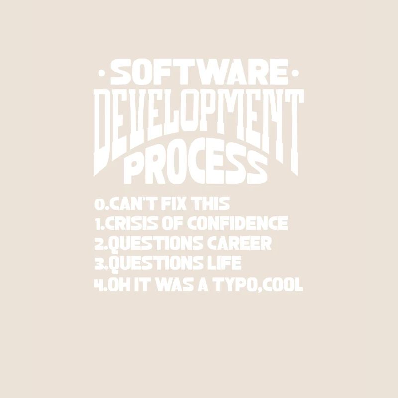 Software Developer Programmer Software