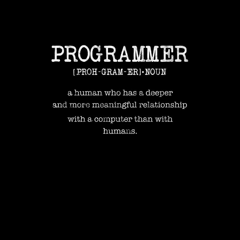 Programmer