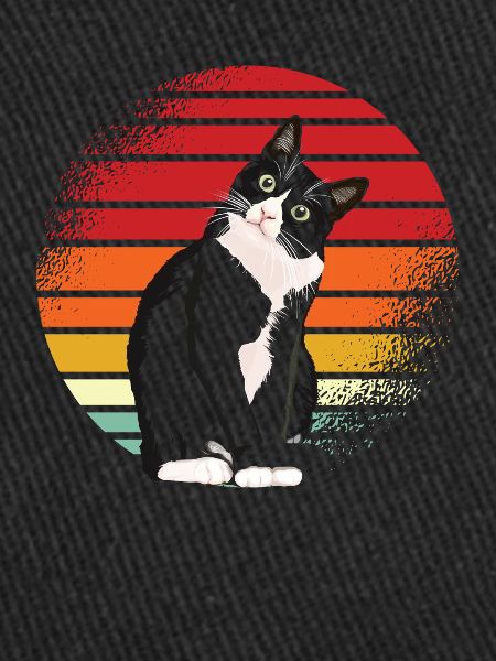 Chat Noir Rétro