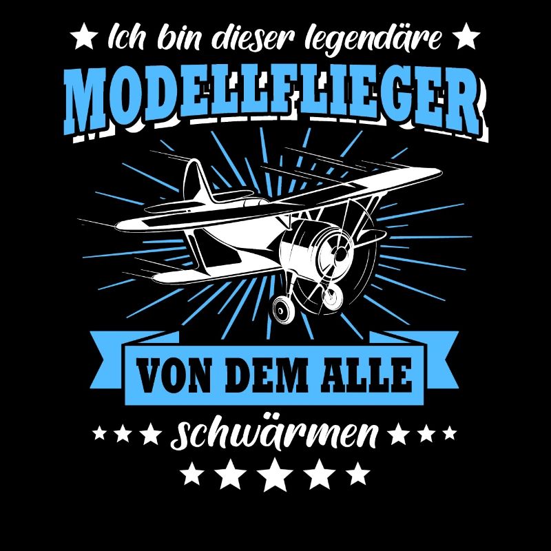 Modellflug RC Flugzeug Modellfliegen