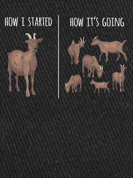 Goat, goats, goat lovers